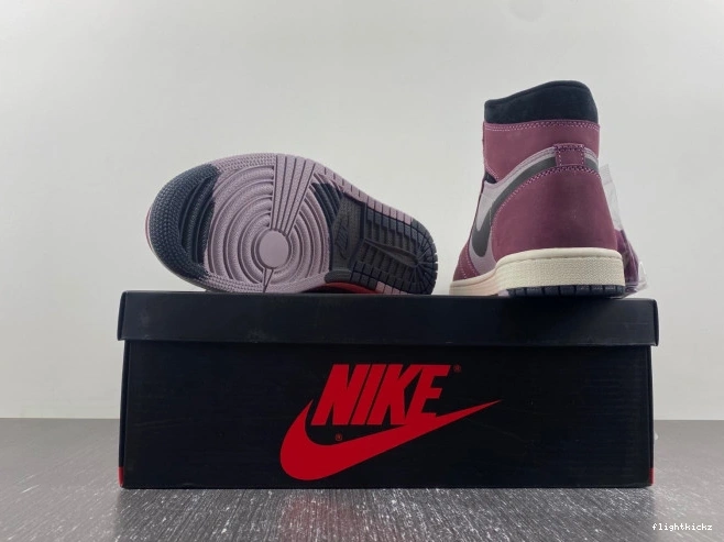 Jordan Gore-Tex Element 1 Air DB2889-500 0802
